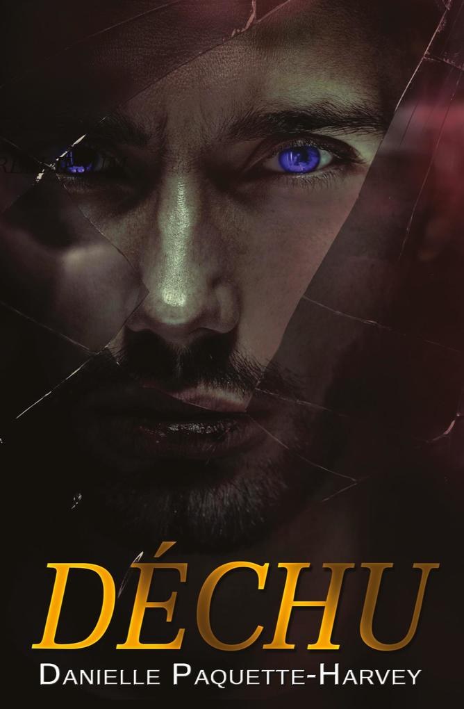 Produktbild: Déchu | Danielle Paquette-Harvey