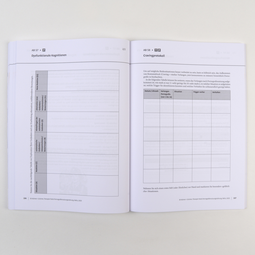 Weitere Ansicht: Therapie-Tools Pornografienutzungsstörung | Michael Krämer, Katrin Grümer