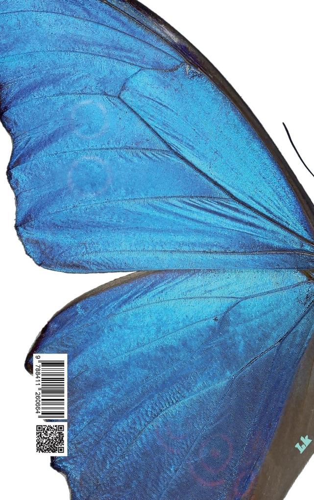 Weitere Ansicht: Diario de amor | Gertrudis Gómez de Avellaneda