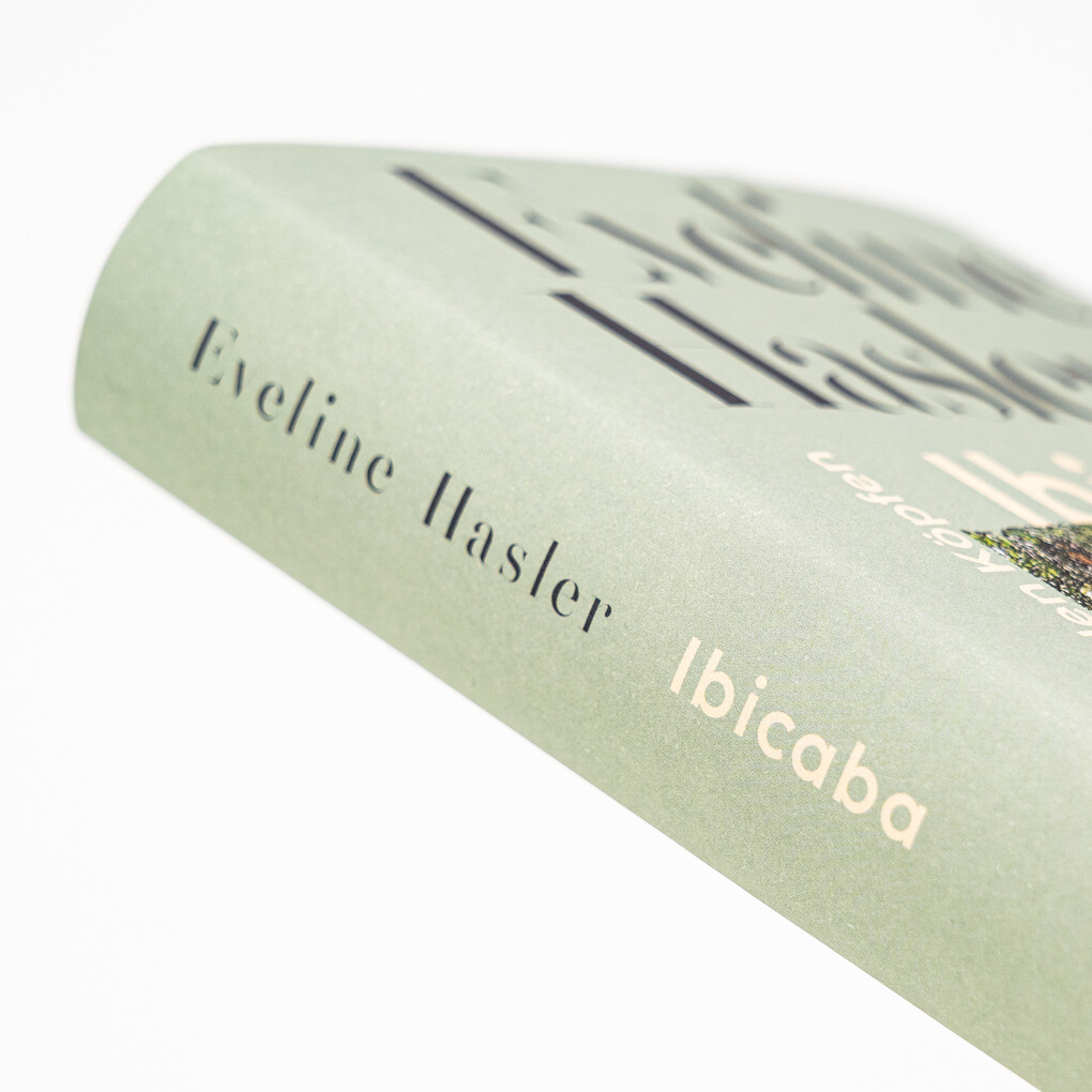 Weitere Ansicht: Ibicaba | Eveline Hasler