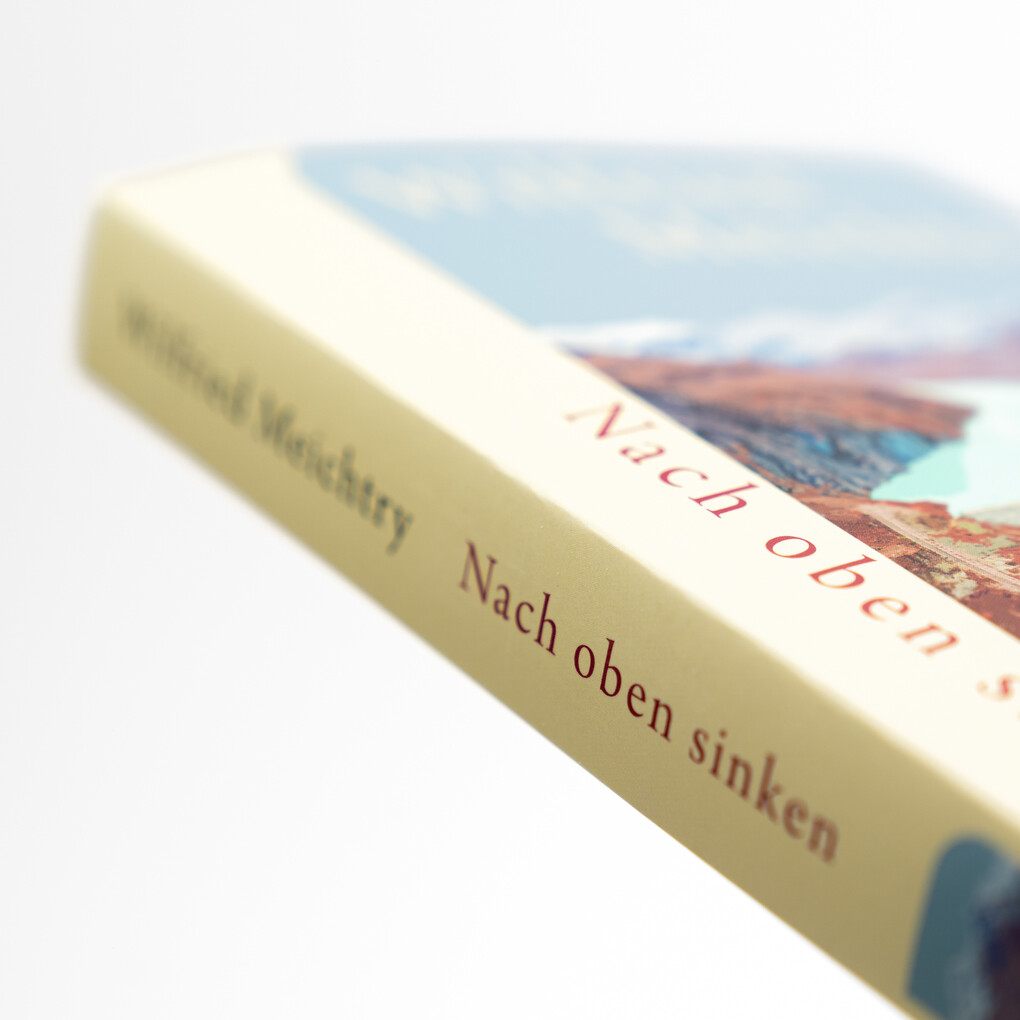 Weitere Ansicht: Nach oben sinken | Wilfried Meichtry