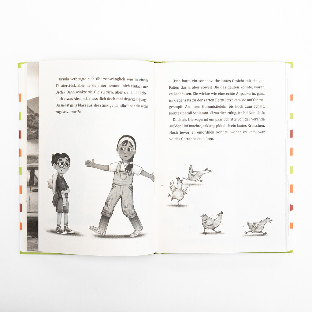 Weitere Ansicht: Wonder und ich. Eine Freundschaftsgeschichte (Band 1) | Britta Sabbag