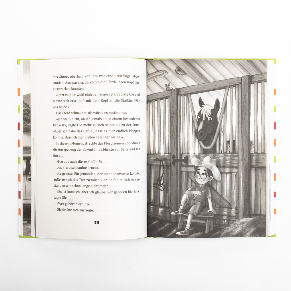 Weitere Ansicht: Wonder und ich. Eine Freundschaftsgeschichte (Band 1) | Britta Sabbag