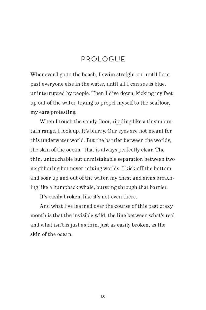 Weitere Ansicht: The Invisible Wild | Nikki van de Car