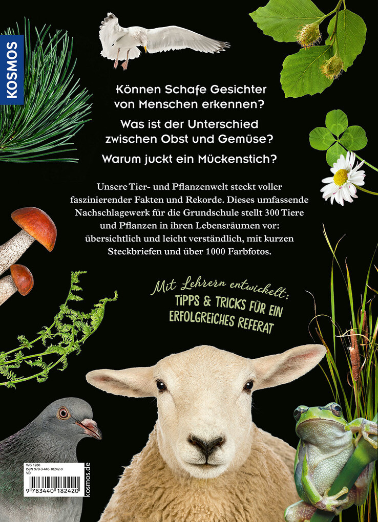 Weitere Ansicht: Mein Kosmos Grundschullexikon Tiere & Pflanzen | Ilka Sokolowski