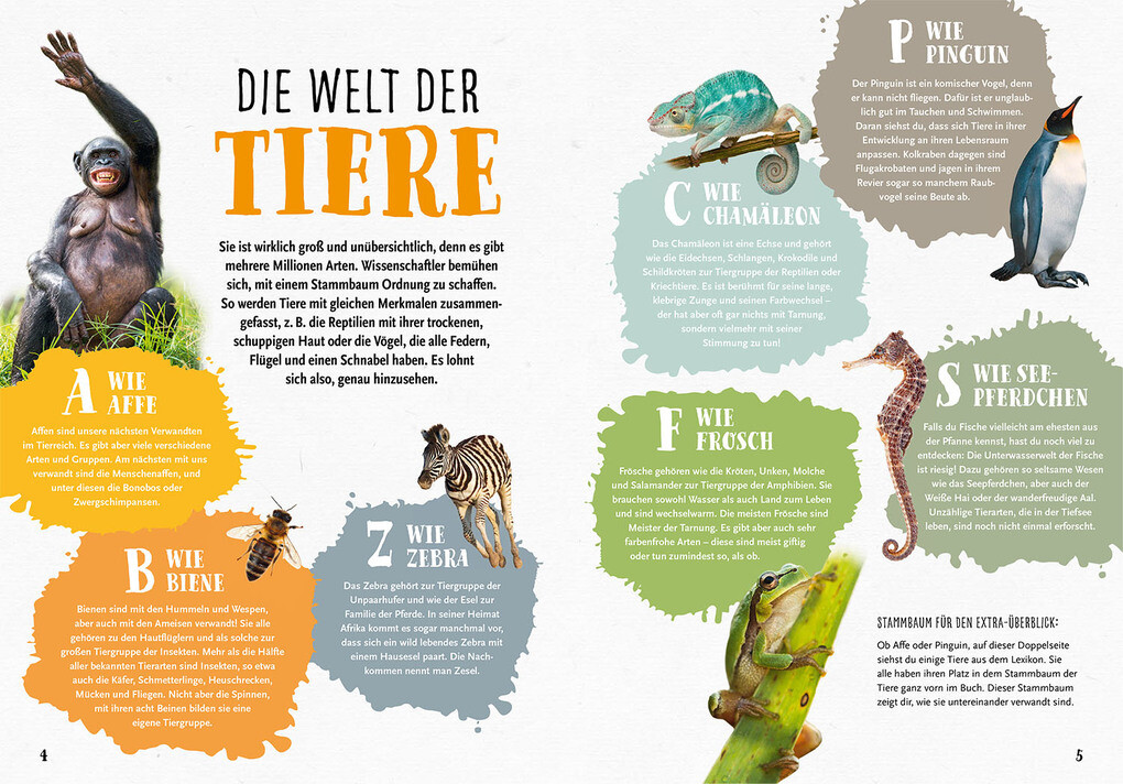 Weitere Ansicht: Mein Kosmos Grundschullexikon Tiere & Pflanzen | Ilka Sokolowski