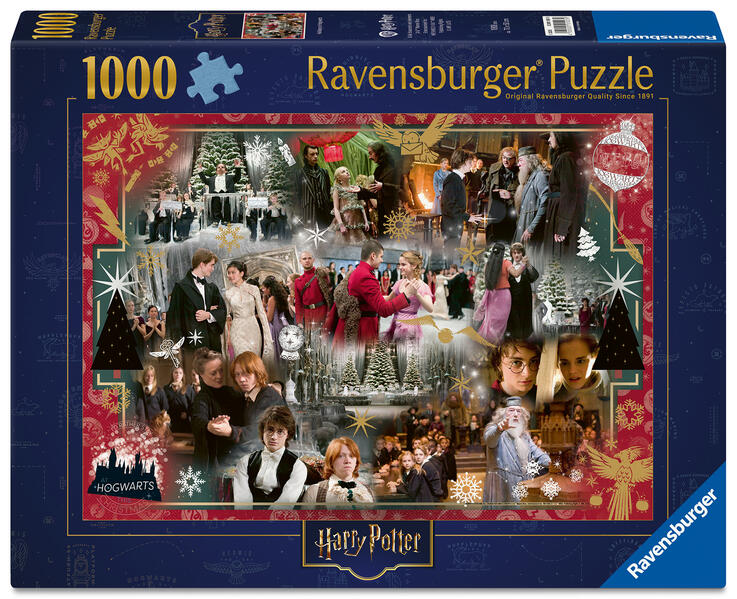 Produktbild: Erwachsenenpuzzle 1000 Teile - Harry Potter - Ferien in Hogwarts