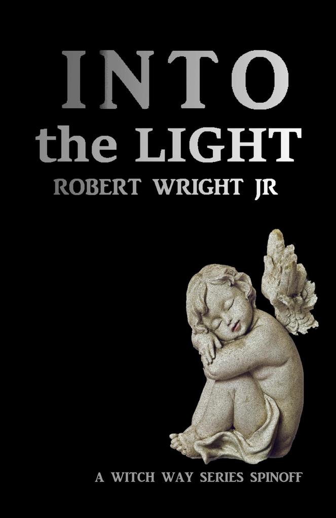 Produktbild: Into the Light | Robert Wright