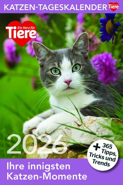 Produktbild: Katzen Tageskalender 2026