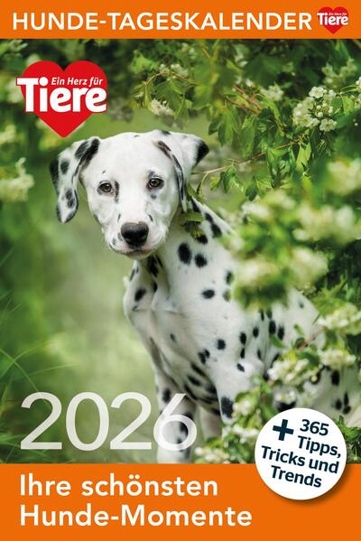 Produktbild: Hunde Tageskalender 2026