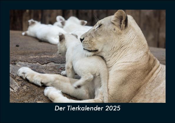 Produktbild: Der Tierkalender 2025 Fotokalender DIN A5 | Tobias Becker