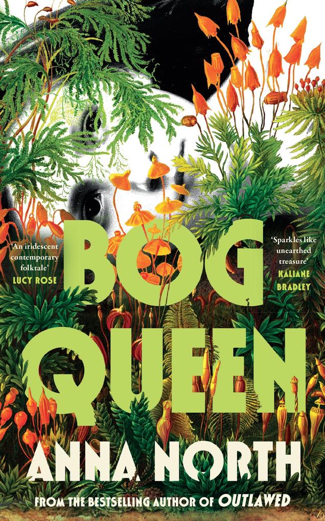 Produktbild: Bog Queen | Anna North