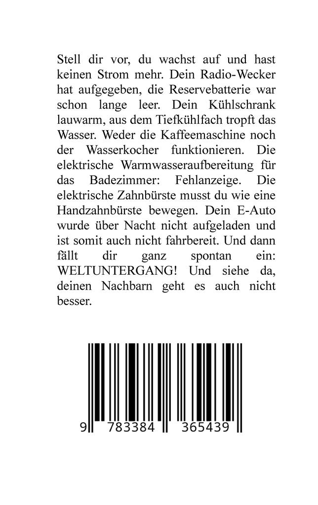 Weitere Ansicht: Stromsucht - der kalte Entzug durch Stromausfall und Überleben in einer neuen Wirklichkeit: Weltweite Flutkatastrophe, Klimawandel, Meteoriteneinschlag, Permakultur, Autismus, versunkene Städte | Rolf Horst