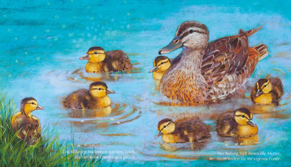 Weitere Ansicht: Tiermütter und Tierkinder | Loes Botman