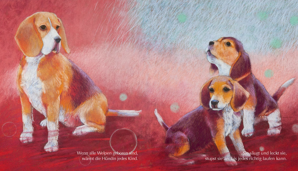 Weitere Ansicht: Tiermütter und Tierkinder | Loes Botman