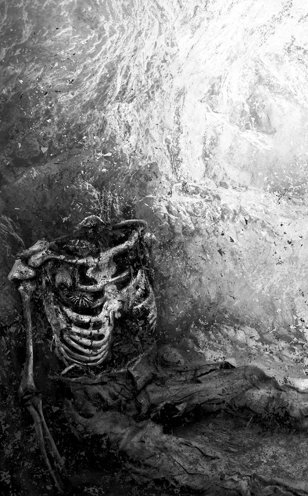 Weitere Ansicht: Wilde Weiten | S. L. Coney