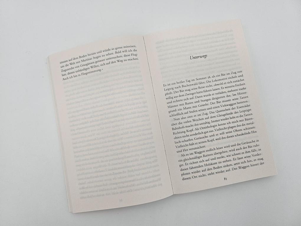 Weitere Ansicht: Lorenz | Ilona Jerger