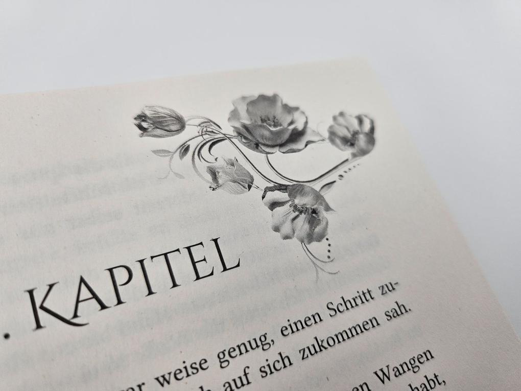 Weitere Ansicht: Eine Krone aus Herz und Asche | Laura Labas