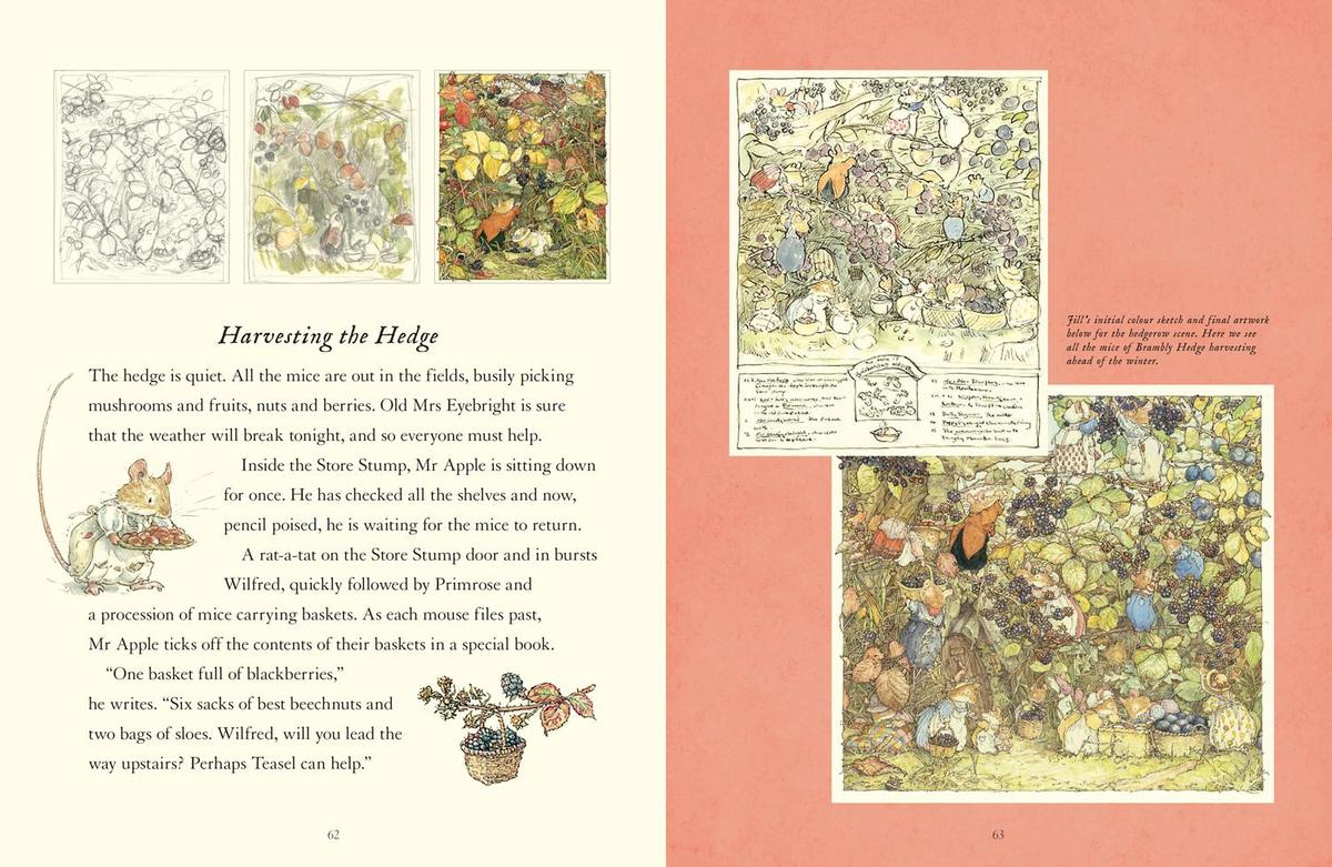 Weitere Ansicht: A Visit to Brambly Hedge | Jane Fior, Jill Barklem