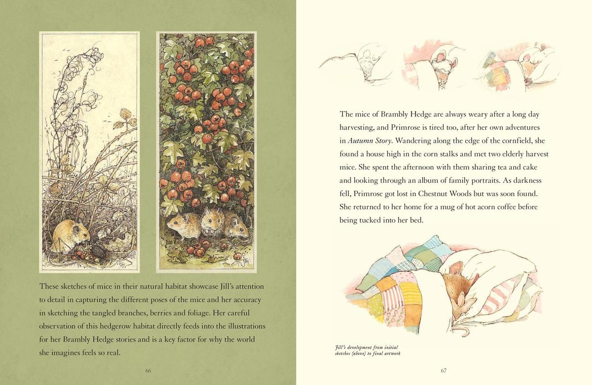 Weitere Ansicht: A Visit to Brambly Hedge | Jane Fior, Jill Barklem