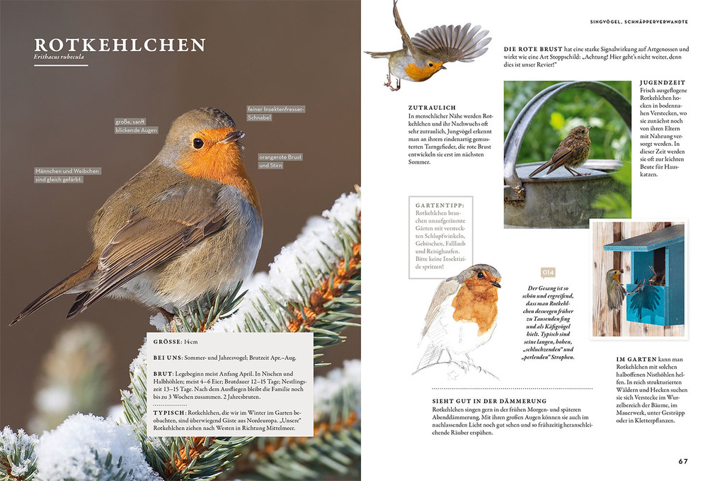 Weitere Ansicht: Das Buch der Gartenvögel | Katrin Hecker, Frank Hecker, Henrike Kelsch