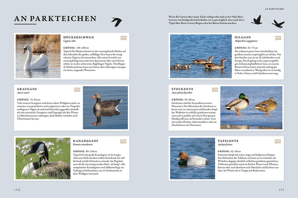 Weitere Ansicht: Das Buch der Gartenvögel | Katrin Hecker, Frank Hecker, Henrike Kelsch