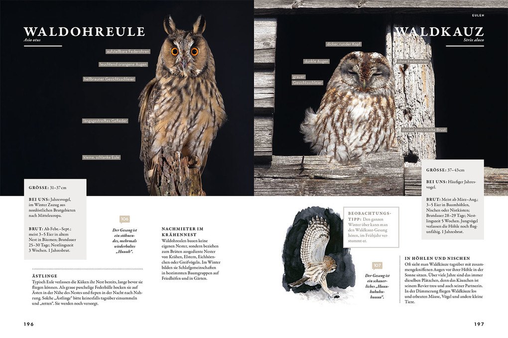 Weitere Ansicht: Das Buch der Gartenvögel | Katrin Hecker, Frank Hecker, Henrike Kelsch