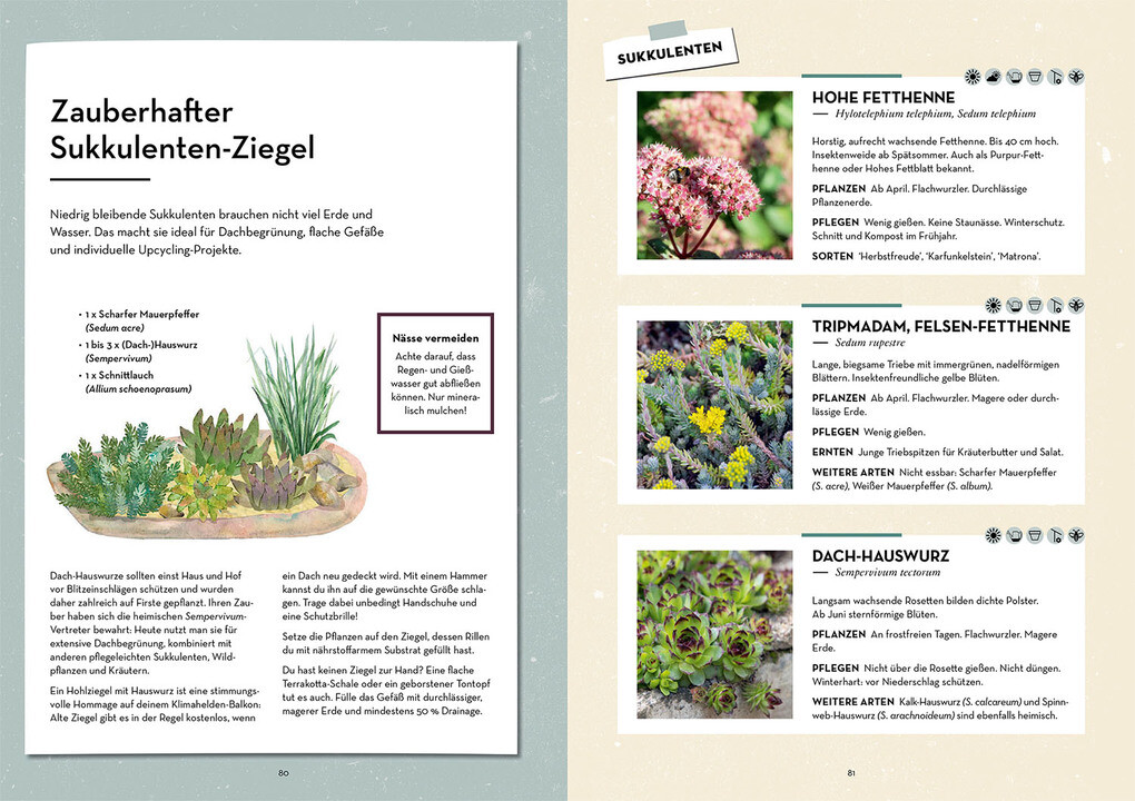 Weitere Ansicht: Klimahelden auf dem Balkon | Melanie Öhlenbach