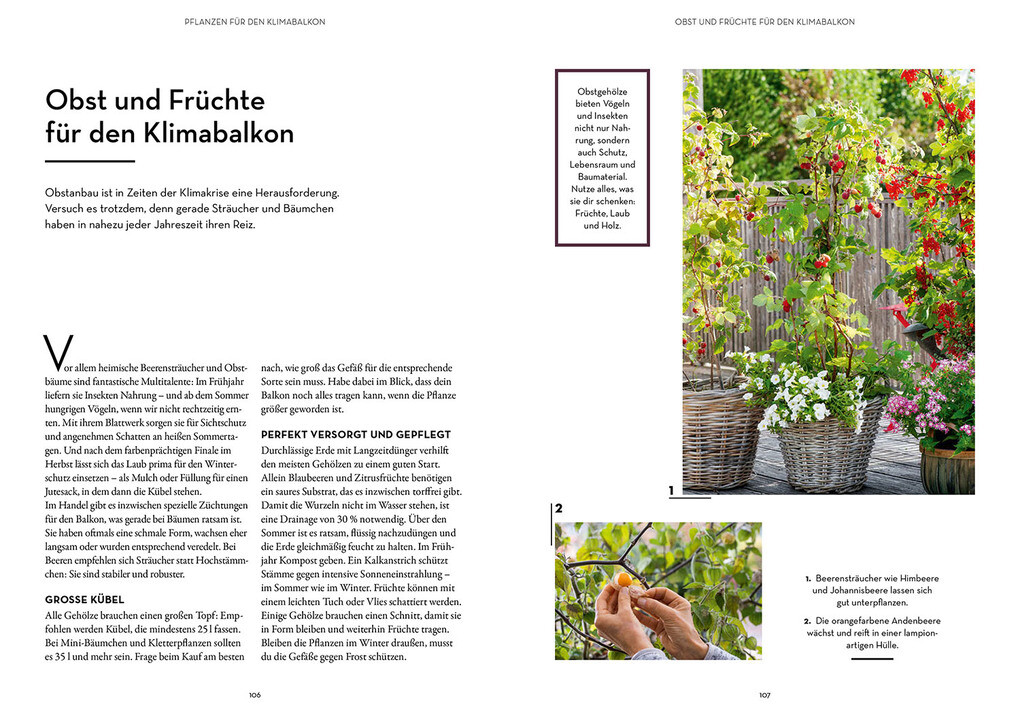 Weitere Ansicht: Klimahelden auf dem Balkon | Melanie Öhlenbach