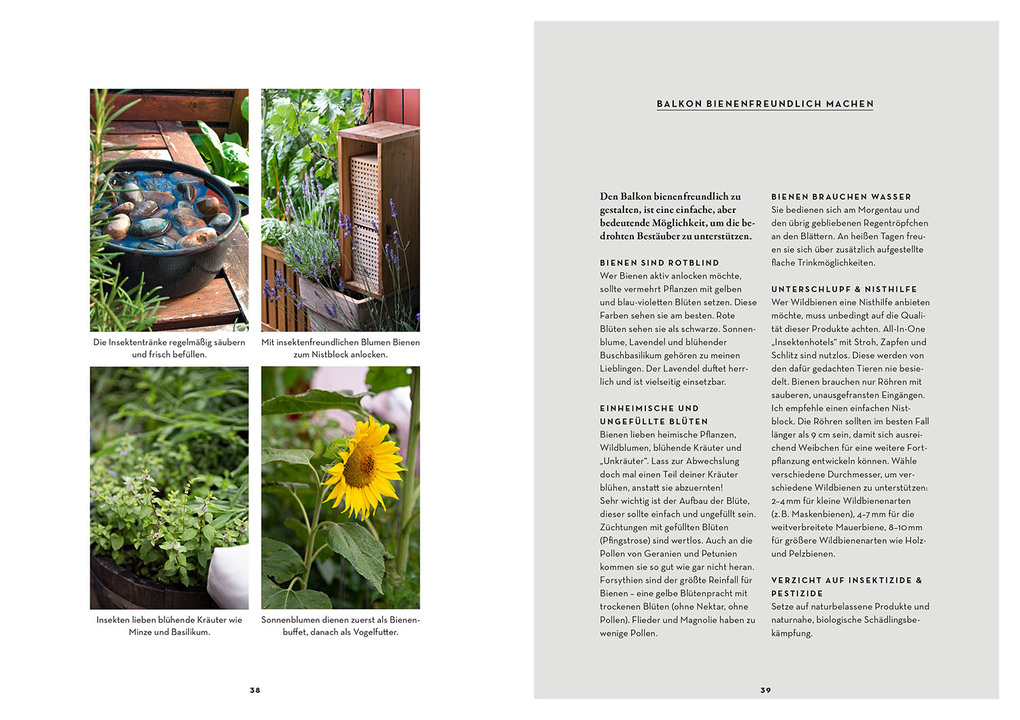 Weitere Ansicht: Selbstversorgung aus dem Balkon-Hochbeet | Lisa-Maria Trauer