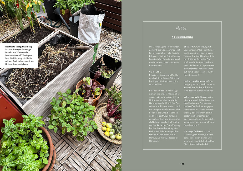 Weitere Ansicht: Selbstversorgung aus dem Balkon-Hochbeet | Lisa-Maria Trauer