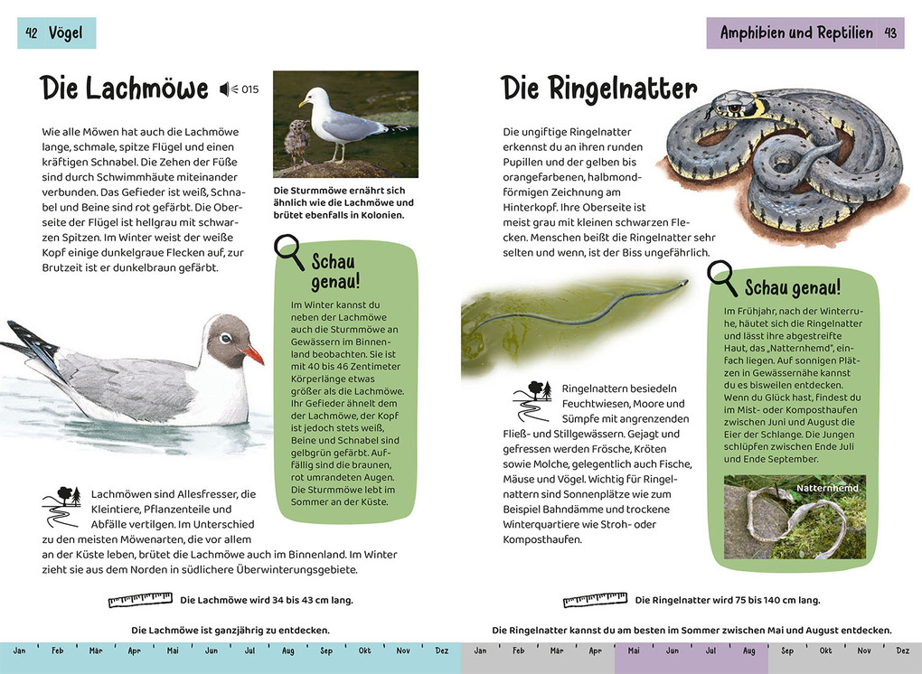 Weitere Ansicht: Was lebt an Bach und Teich? Kindernaturführer | Anita van Saan