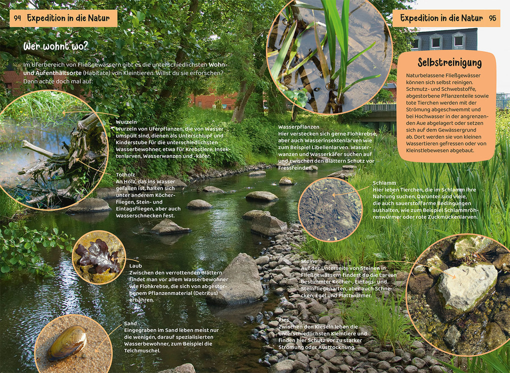 Weitere Ansicht: Was lebt an Bach und Teich? Kindernaturführer | Anita van Saan