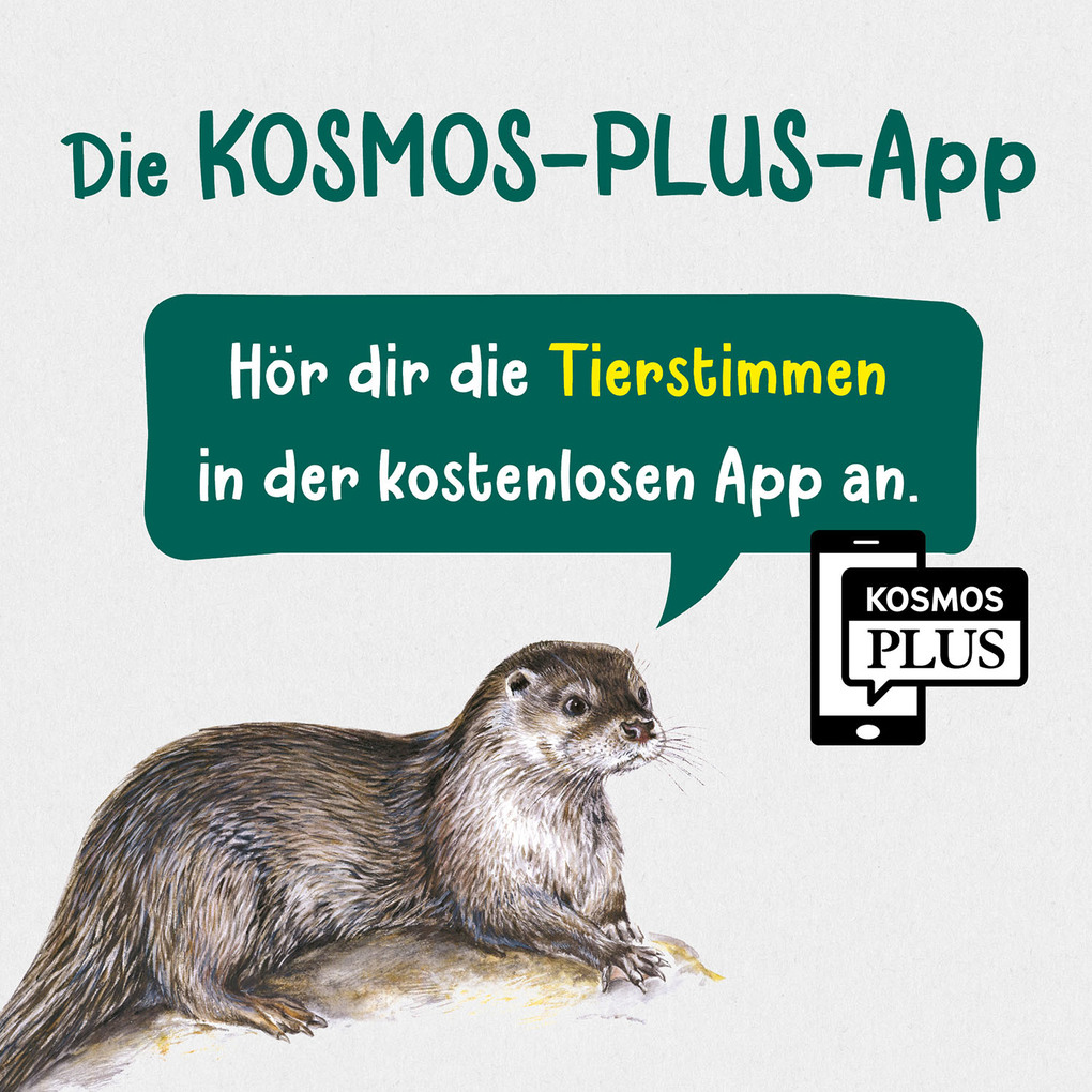 Weitere Ansicht: Was lebt an Bach und Teich? Kindernaturführer | Anita van Saan