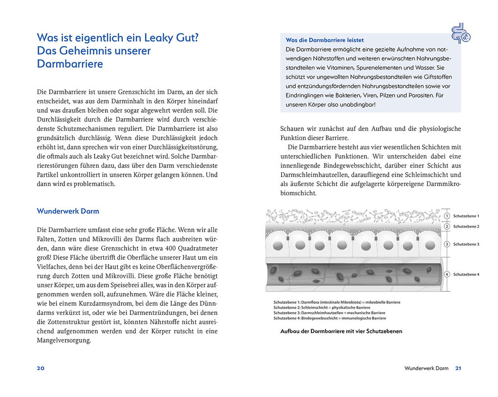 Weitere Ansicht: Leaky Gut und SIBO | Martin Storr
