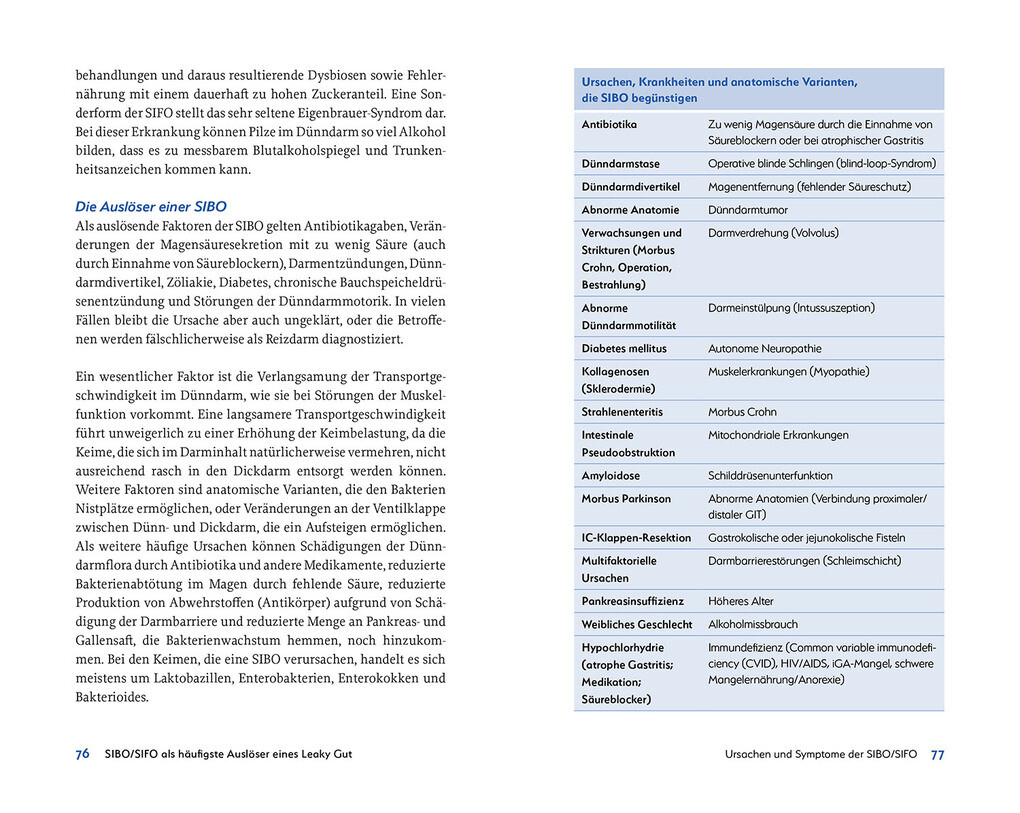 Weitere Ansicht: Leaky Gut und SIBO | Martin Storr