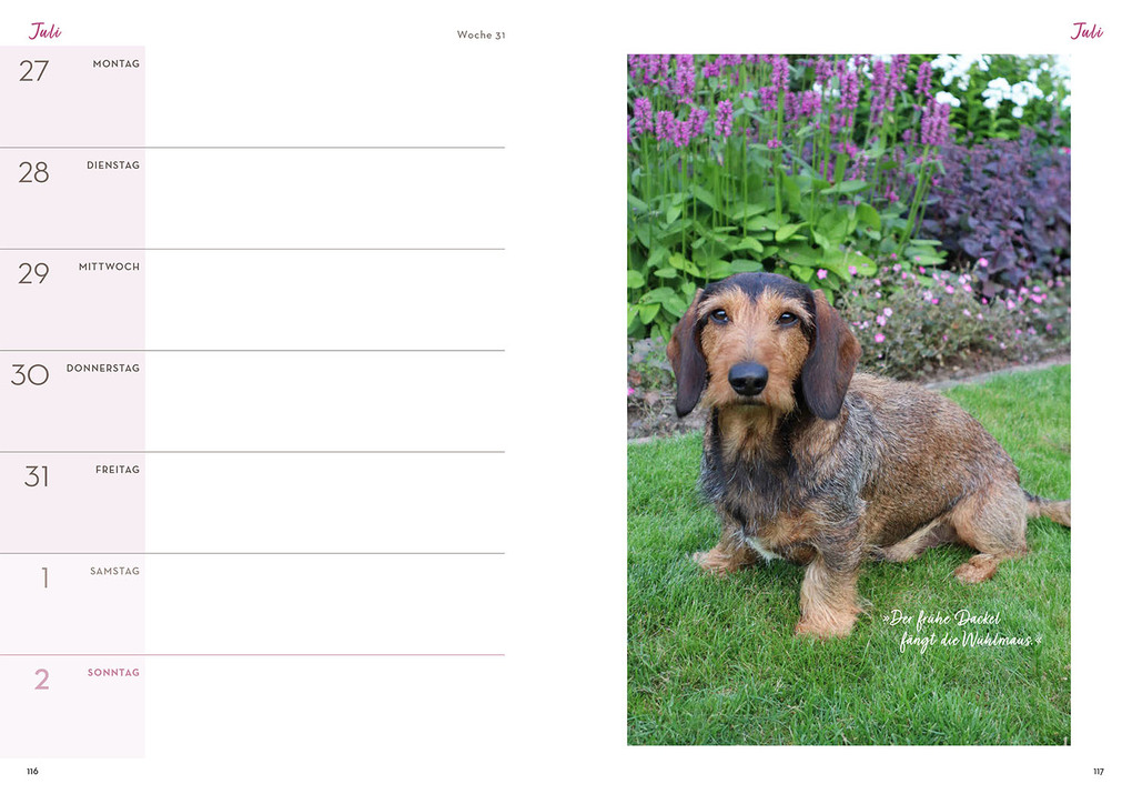 Weitere Ansicht: Mit Herz & Gabel durch Katrins Gartenjahr 2026 | Katrin Iskam