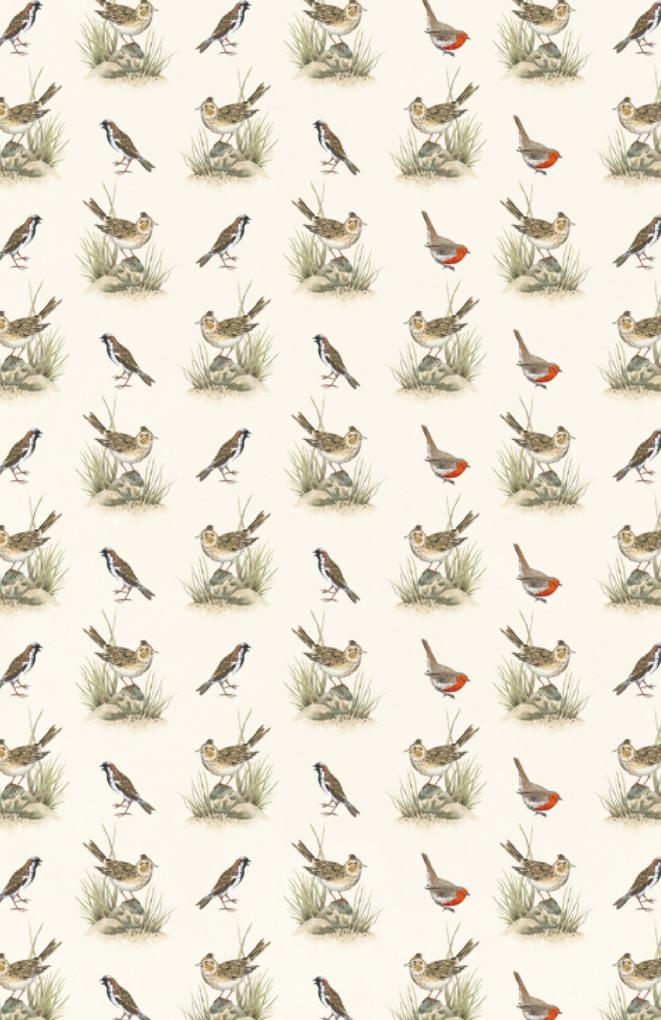 Weitere Ansicht: Vom Glück des Vogelgesangs | Silke Kipper