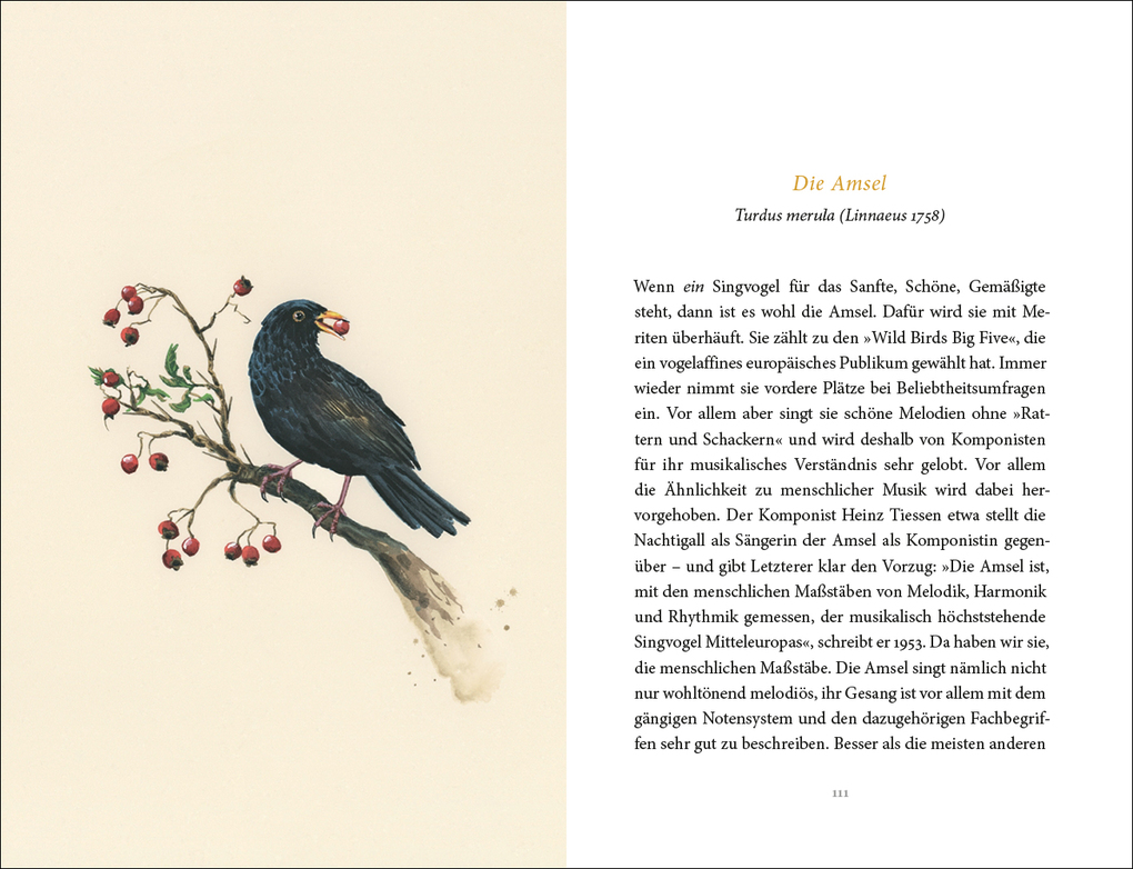 Weitere Ansicht: Vom Glück des Vogelgesangs | Silke Kipper