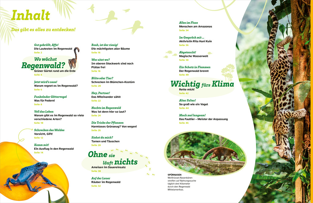 Weitere Ansicht: WAS IST WAS Regenwald. Wilde grüne Welt | Alexandra Werdes