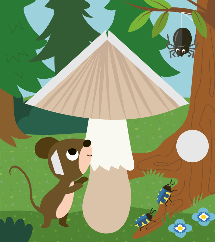 Weitere Ansicht: Zack, zack - fertig! Waldtiere