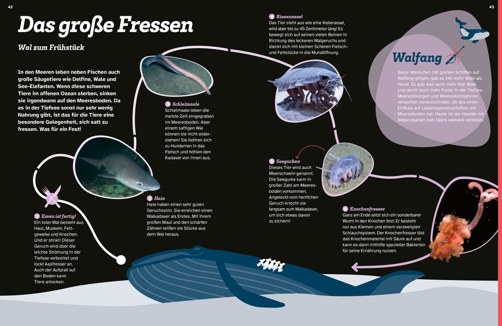 Weitere Ansicht: WAS IST WAS Tiefsee. Überleben in der Finsternis | Florian Huber, Uli Kunz