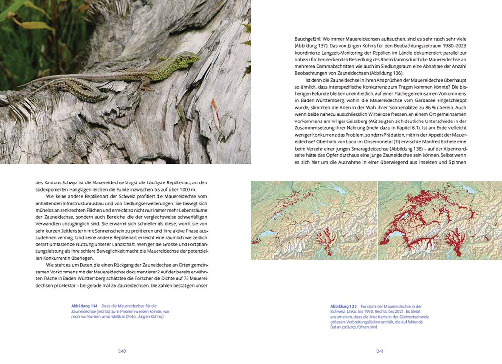 Weitere Ansicht: Reptilien in der Schweiz | Ulrich Hofer