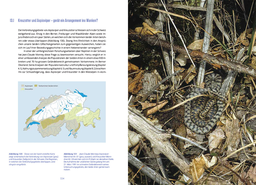 Weitere Ansicht: Reptilien in der Schweiz | Ulrich Hofer