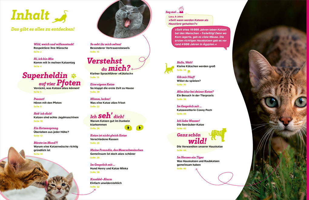 Weitere Ansicht: WAS IST WAS Katzen. Eigenwillige Schnurrer | Judith Weber