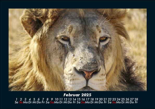Weitere Ansicht: Der Tierkalender 2025 Fotokalender DIN A5 | Tobias Becker