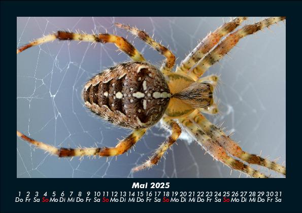 Weitere Ansicht: Der Tierkalender 2025 Fotokalender DIN A5 | Tobias Becker