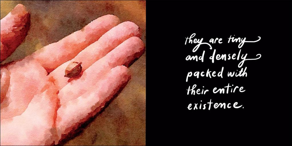 Weitere Ansicht: Love Letter to a Garden | Debbie Millman