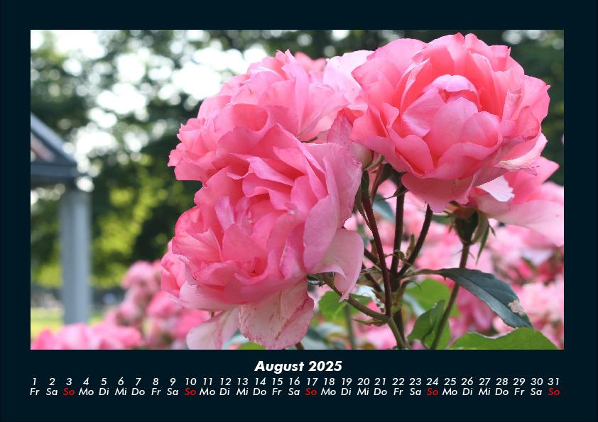 Weitere Ansicht: Pflanzen und Blüten 2025 Fotokalender DIN A4 | Tobias Becker