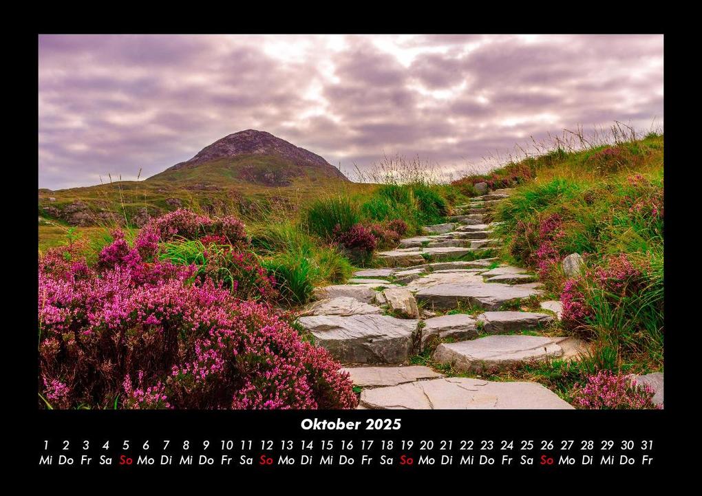 Weitere Ansicht: Pflanzen und Blüten 2025 Fotokalender DIN A3 | Tobias Becker